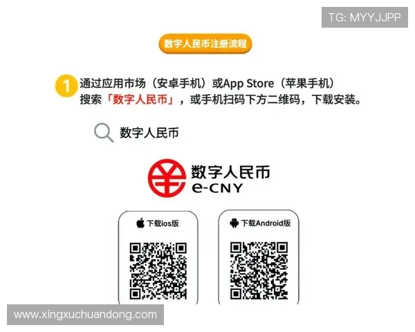 亚博网站app支持多种支付方式的详细指南与使用技巧