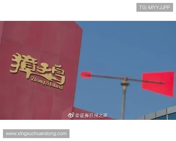 亚搏全站：用户反馈与案例分析带来的实用启示